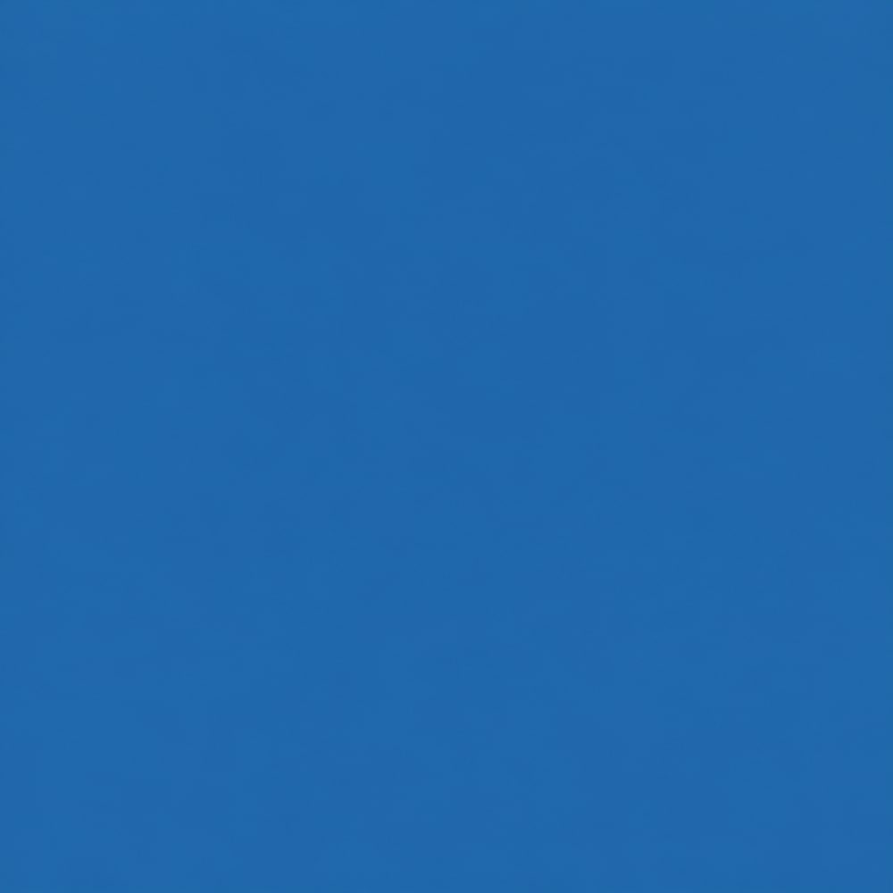BLUECOIN